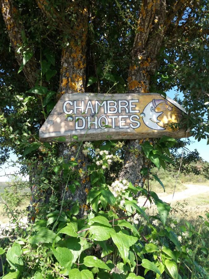 Les Vignes De La Tour Saint-Blaise Trigance Eksteriør billede